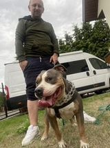 Benutzerfoto vitaliimaksymuk