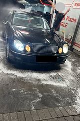 Фотография пользователя Cerber1