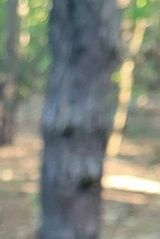 Foto pengguna Malutkaaaaaaaaaa