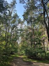 Foto pengguna Bezniku2