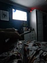 Foto pengguna michalowskik1