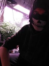 Foto pengguna Lolabrennt