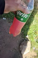 Zdjęcie użytkownika danieldanielo463