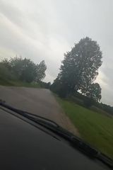 Benutzerfoto Danieekl1995