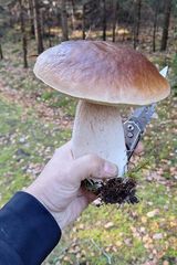 Foto pengguna Maciek747