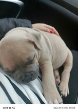 Benutzerfoto kamka333