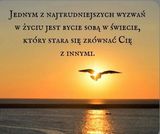 Benutzerfoto Patryczek9900
