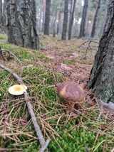 Benutzerfoto Wysoki91