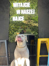 Zdjęcie użytkownika TakiJakWidzisz