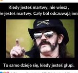 Benutzerfoto SilosNuklearny