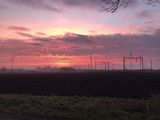 Benutzerfoto Anone