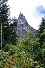 Zdjęcie użytkownika kamilk1l1ll1ll11ll