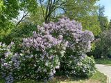 Фотография пользователя Bi1234