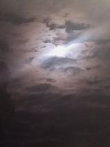 Фотография пользователя lipinskaewelina60