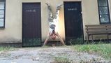 Фотография пользователя Komandos77