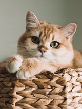 Benutzerfoto marcin26934