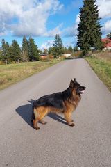 Фотография пользователя Bartek37Jp