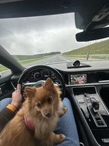 Фотография пользователя NoooWkoncuu