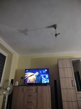 Фотография пользователя boberdominik60