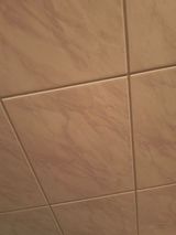 Benutzerfoto paulinaanusiewic57