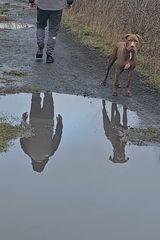 Фотография пользователя Muharadza