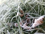 Фотография пользователя jestemBog1em