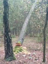 Fotka uživatele Miniek6
