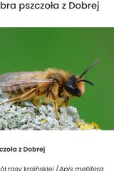 Benutzerfoto pawel19850802