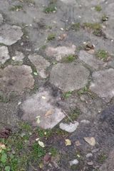 Fotka uživatele koral1234567891091