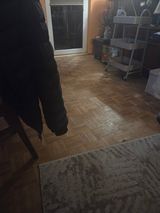 Fotka uživatele LillyP
