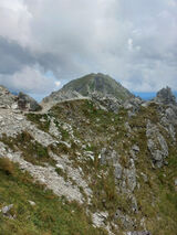 Zdjęcie użytkownika Kamil23gp