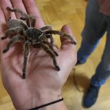 Фотография пользователя lureamare