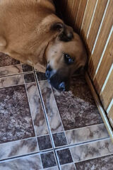 Benutzerfoto CzarownicaIzabela