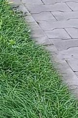Фотография пользователя waski8585