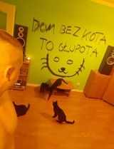 Фотография пользователя AndyJestem