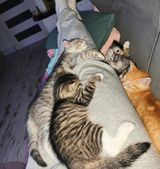 MMichal89 Fotos MMichal89