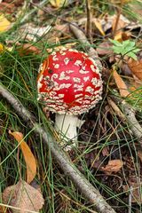 Benutzerfoto Kemot76