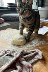 Фотография пользователя pawelkorman3