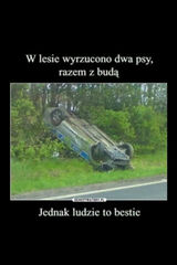 Benutzerfoto omet5029