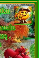 Фотография пользователя KrzysztofNamyslo