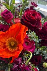 Фото користувача Markdj0089369