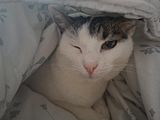 Фотография пользователя mateuszfoltyn022