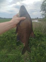 Фотография пользователя cichykamil3