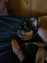 Benutzerfoto danielkoziel79