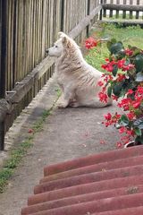 Фотография пользователя MateuszMateusz04