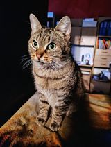 Фотография пользователя kubashadoow