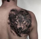 Benutzerfoto Jacek1457