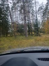 Фотография пользователя wisniewskimarius24