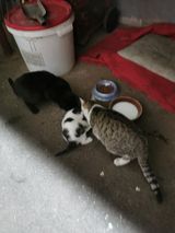 Benutzerfoto mrowek211