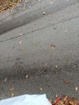 Фотография пользователя kewinek092007